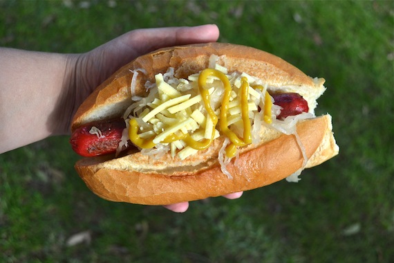 Hot Dog - Patchworkcactus