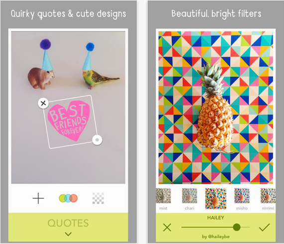 VSCOCAM Photo Editing App review by Patchwork Cactus