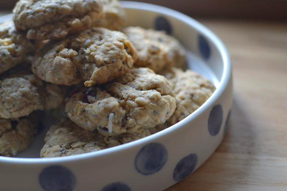 Cranberry and Coconut Oat Biscuit Recipe | By Patchwork Cactus