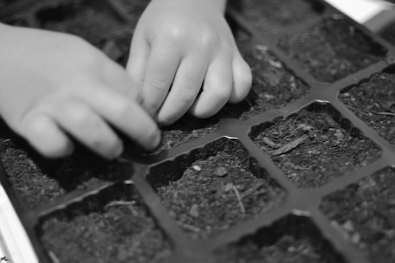 Montessori at home - the importance of playing with dirt by Patchwork Cactus.
